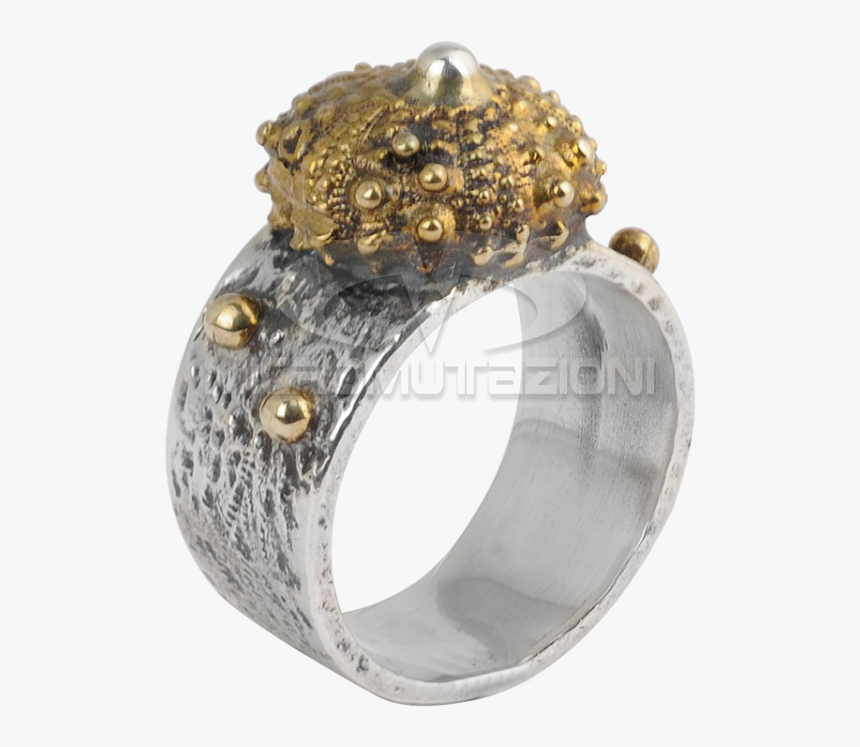 Sea Urchin Silver Ring With Brass Element Rings - Titanium Ring, HD Png Download, Free Download