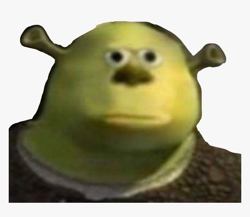 Memes Shrek Funny Face