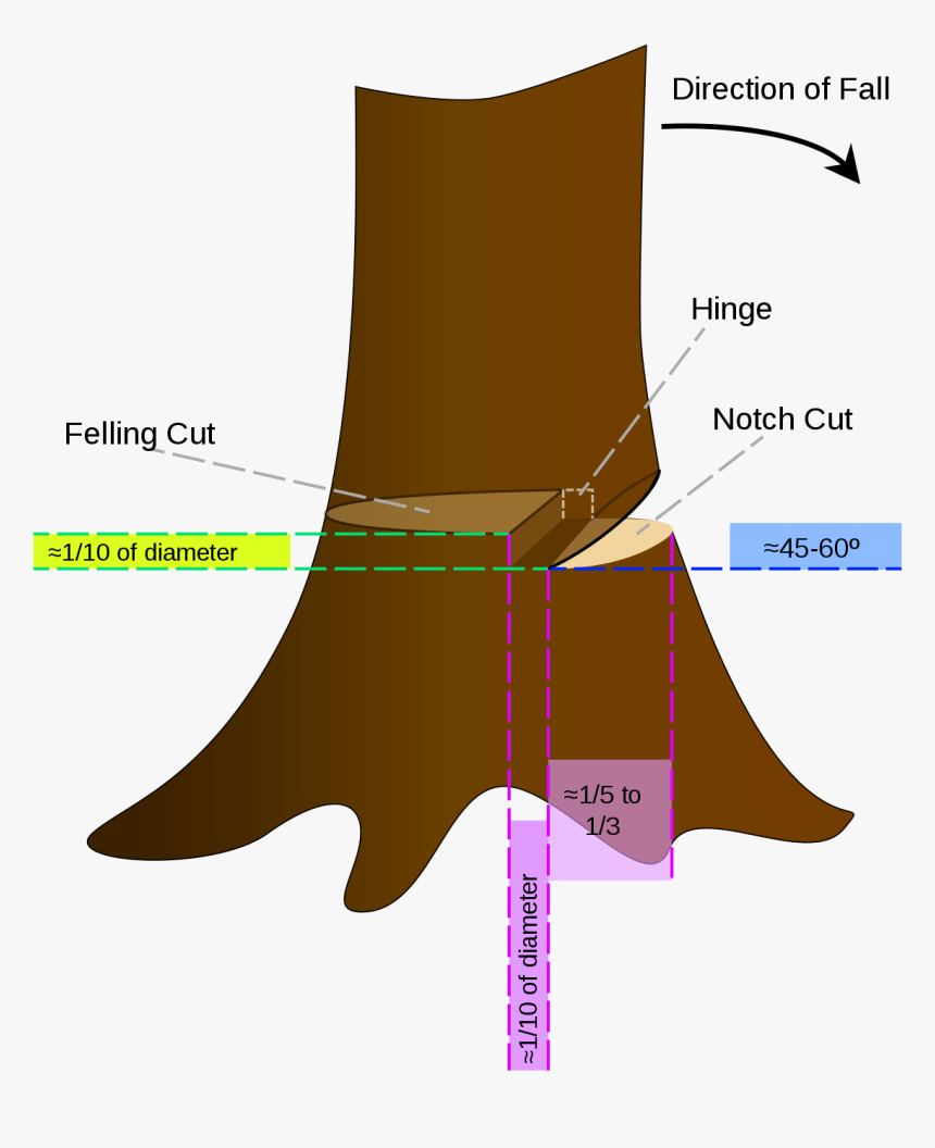 Cut A Tree With A Chainsaw, HD Png Download, Free Download