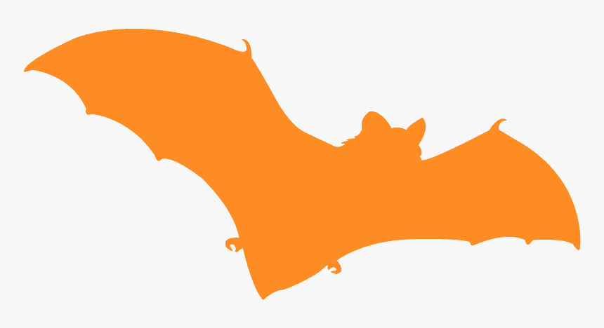 Chauve Souris Dessin Orange, HD Png Download, Free Download