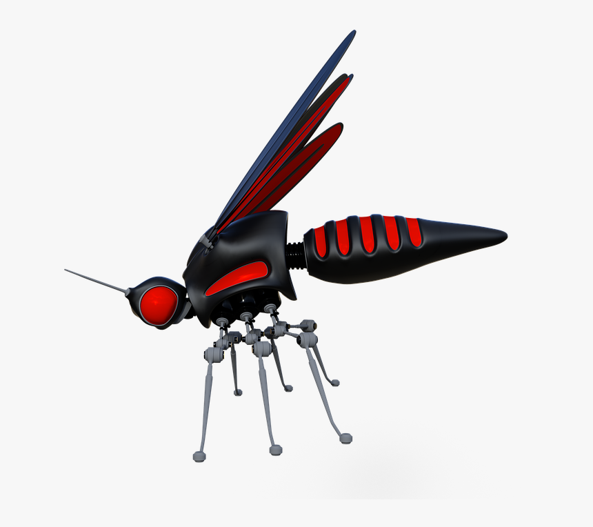 Bee, HD Png Download, Free Download