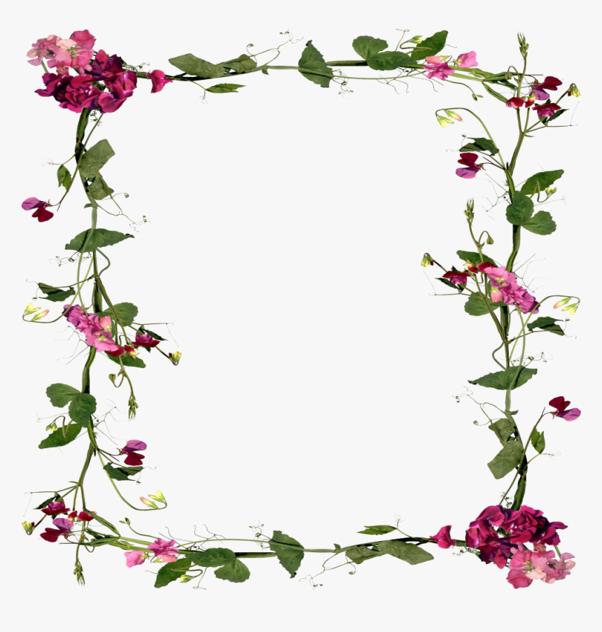 Mq Flowers Vines Border Frame Frames Clipart , Png - Flowers Frame, Transparent Png, Free Download