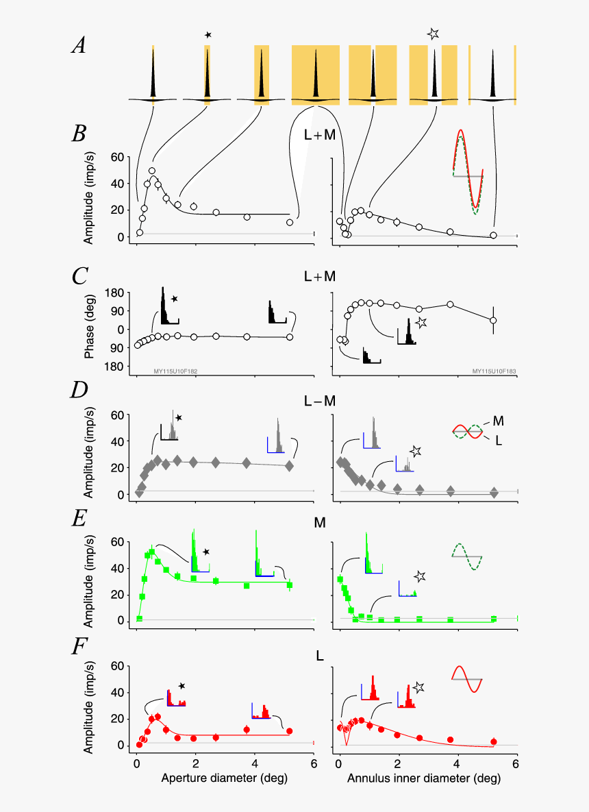 Diagram, HD Png Download, Free Download