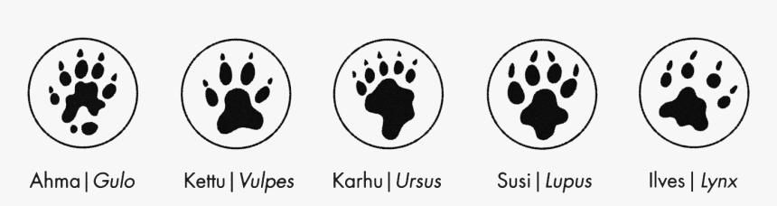 Paws Of Wolverine, Fox, Bear, Wolf And Lynx - Circle, HD Png Download, Free Download