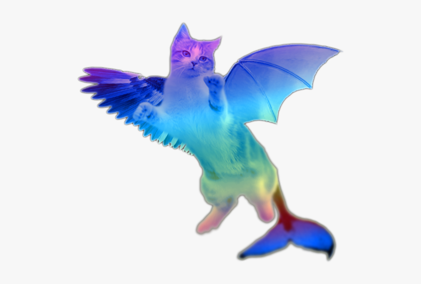 Thumb Image - Flying Cat Clear Background, HD Png Download, Free Download