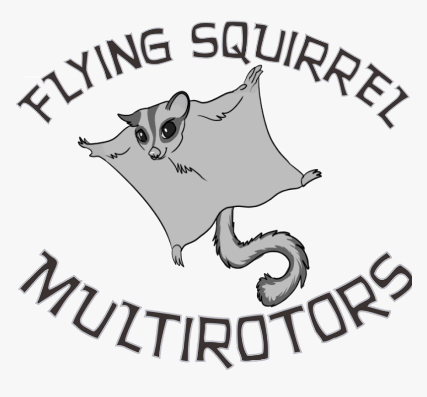 Drawing Flying Squirrel - Cartoon, HD Png Download, Free Download