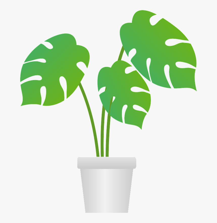 Monstera Houseplant Clipart - Flowerpot, HD Png Download, Free Download