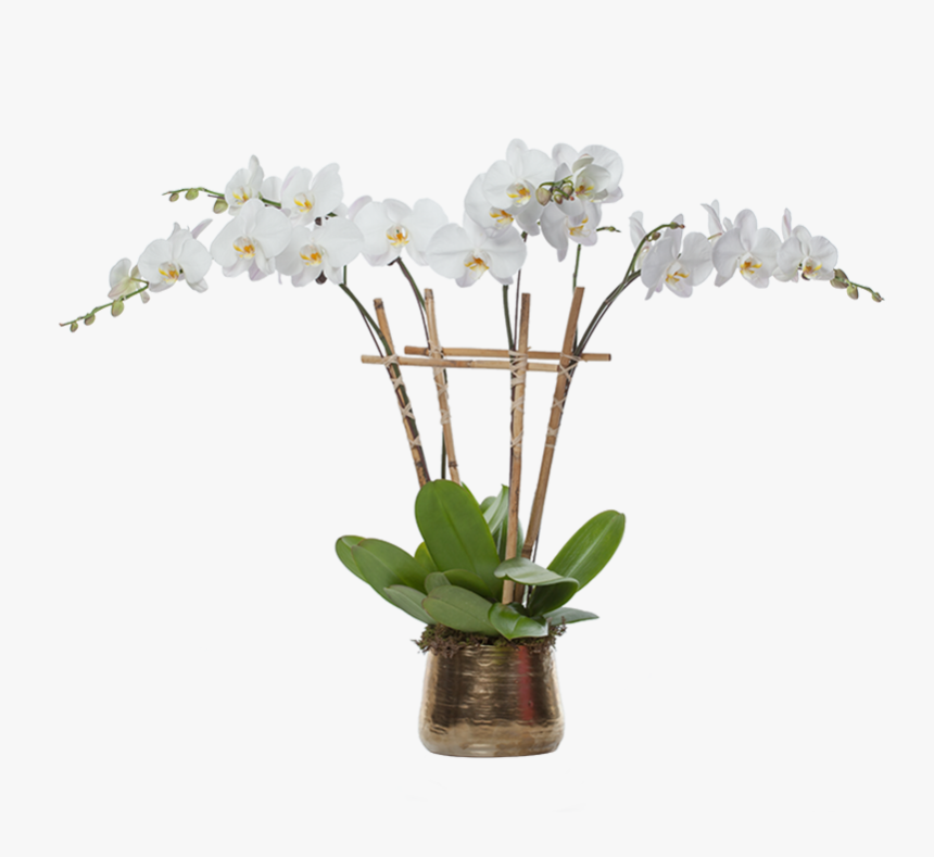 Multiple Orchid Planter - Artificial Flower, HD Png Download, Free Download