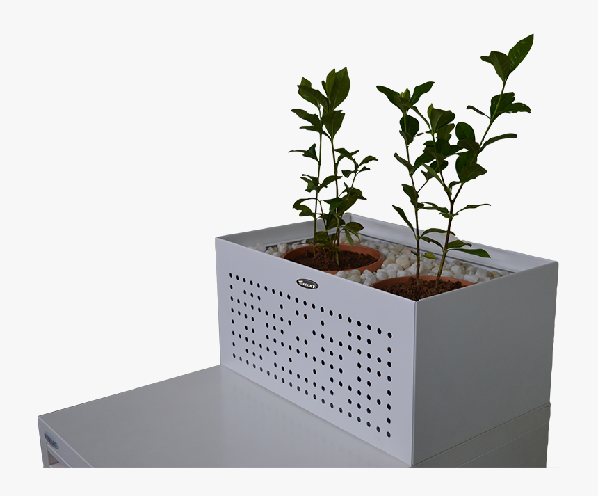 Flower Box , Png Download - Houseplant, Transparent Png, Free Download