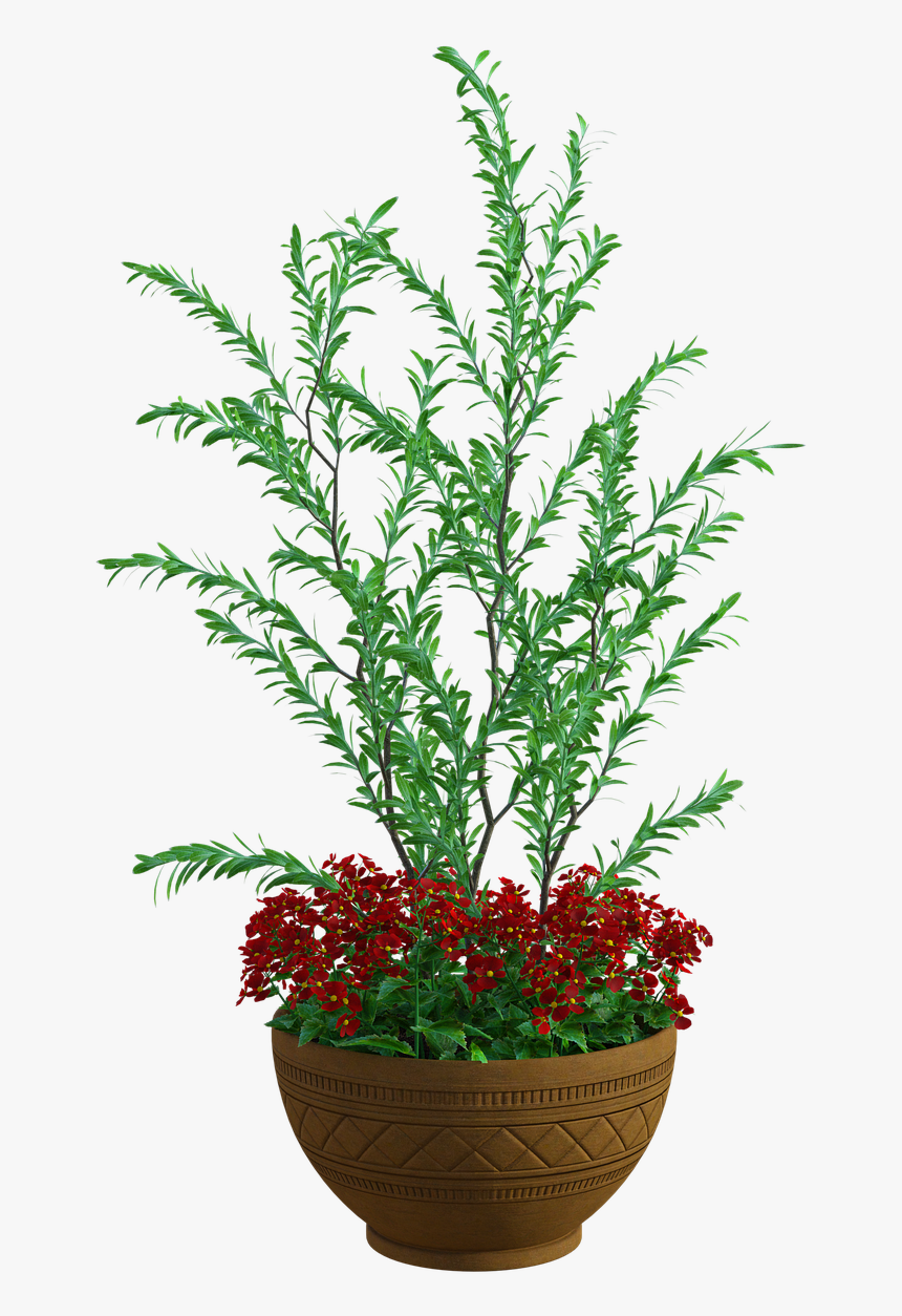 Flowerpot, HD Png Download, Free Download