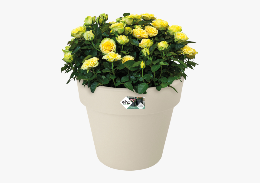 Elho Flower Pot Basics Top Planter 47cm In Lime Green,, HD Png Download, Free Download