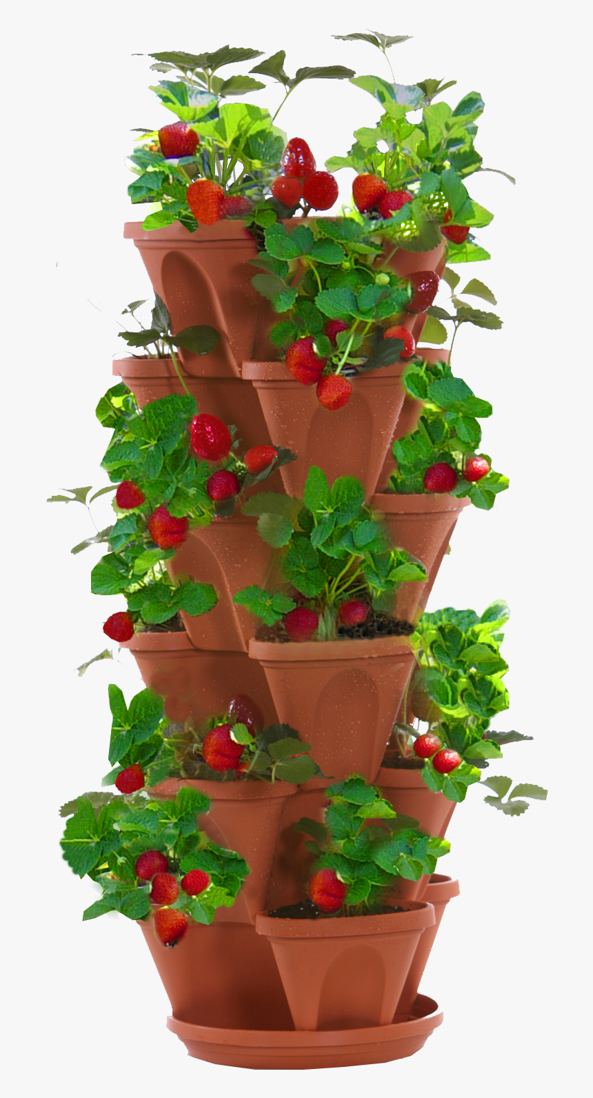 Stacked Strawberry Planter , Png Download - Strawberry Plant Png Pot, Transparent Png, Free Download