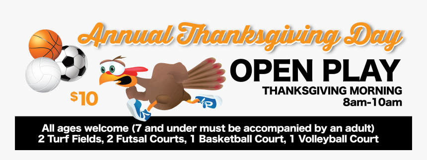 Duck, HD Png Download, Free Download