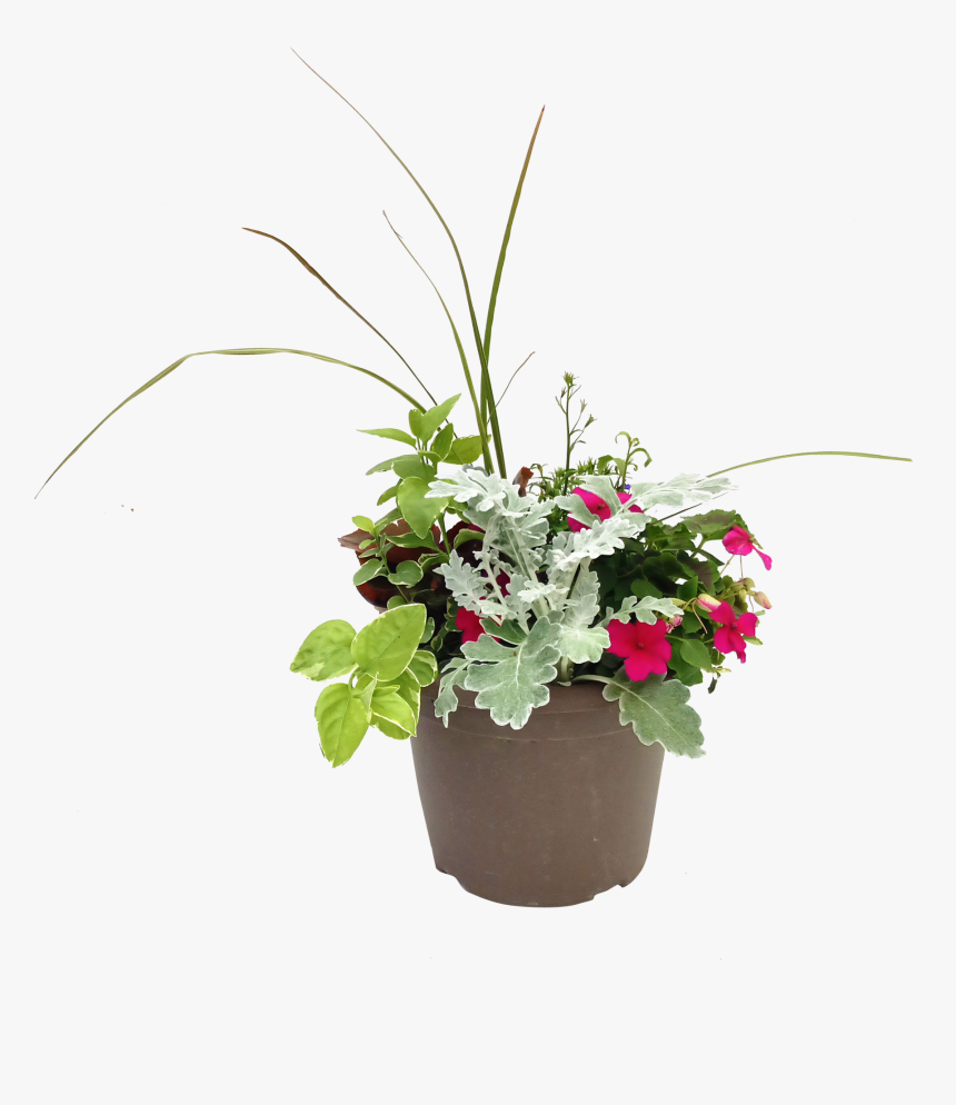 8 In Bella Spike Combination Planter, HD Png Download, Free Download