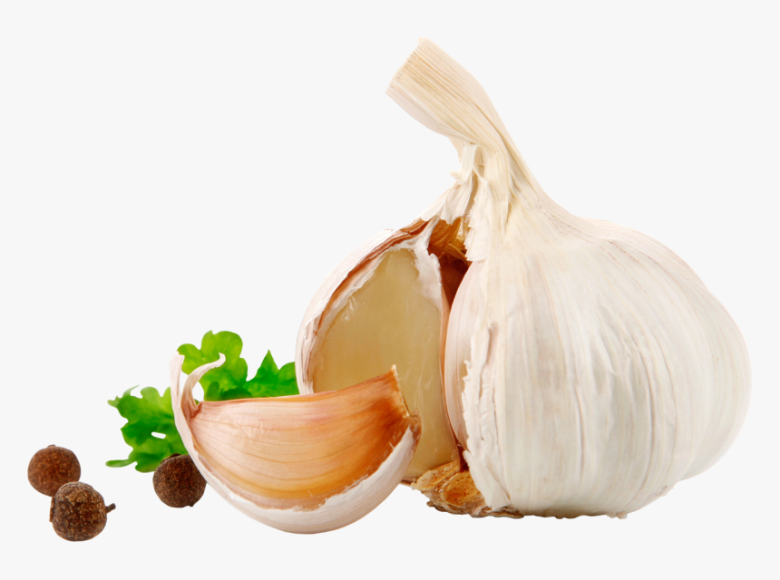 Garlic Png Image - High Resolution Garlic Png, Transparent Png, Free Download