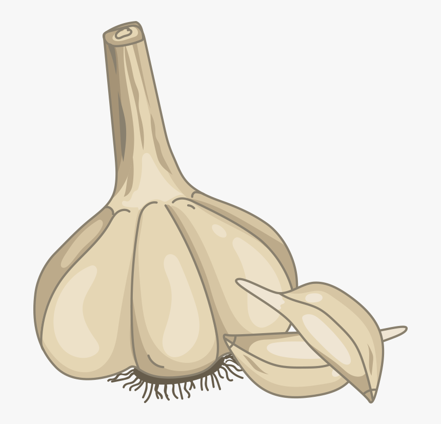 Hand-painted Garlic Png Download - Elephant Garlic, Transparent Png, Free Download