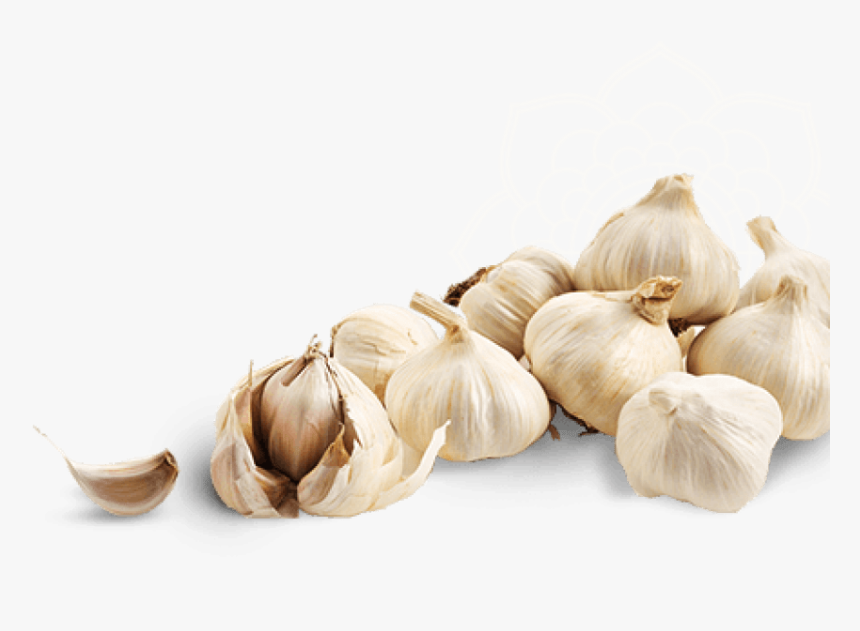 Garlic Clipart Garlic Clove - سیر Png, Transparent Png, Free Download