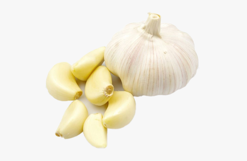 Garlic Body, HD Png Download, Free Download