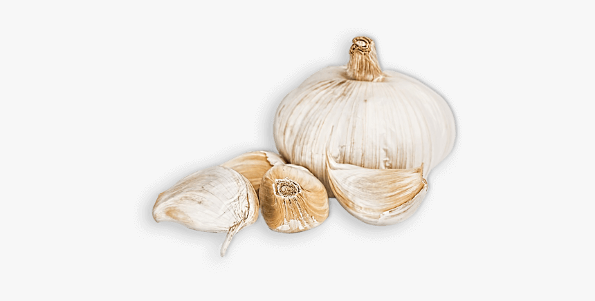 Garlic, HD Png Download, Free Download