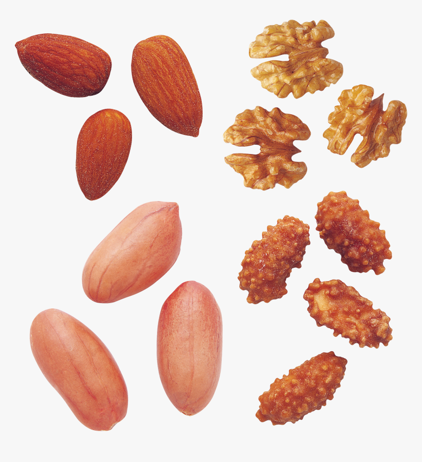 Peanut Png - Almond, Transparent Png, Free Download