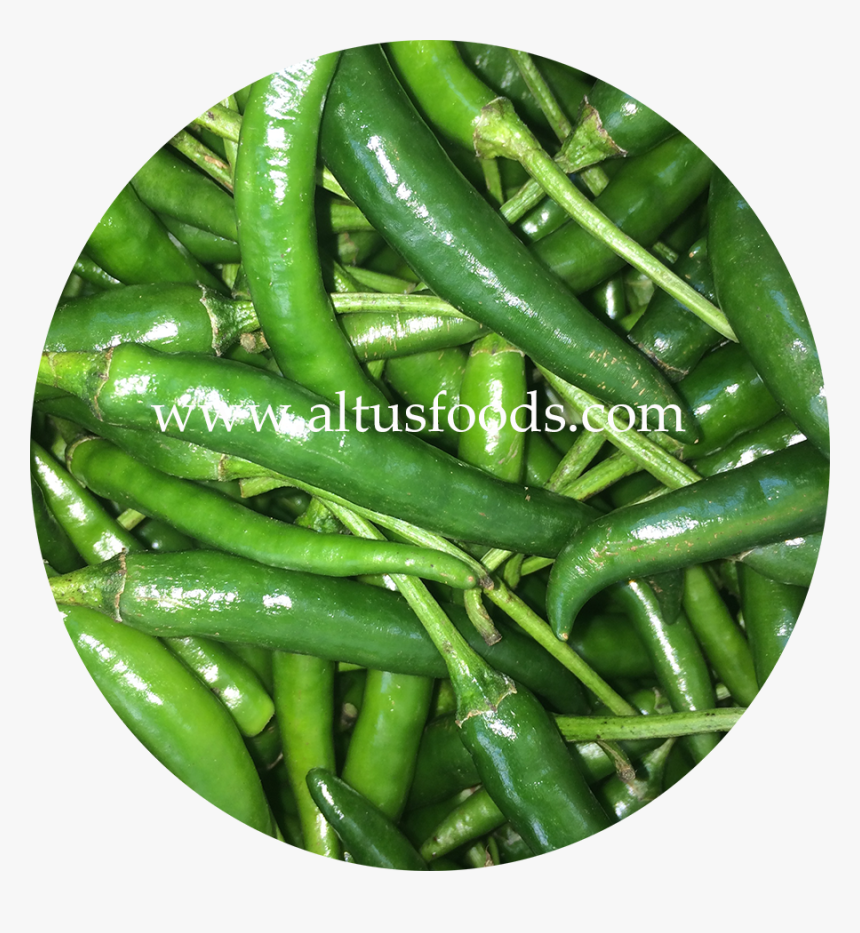 Uganda Chilli Exporters, Uganda Chilli Exporters Manufacturers - Bird's Eye Chili, HD Png Download, Free Download