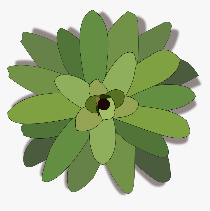 Bromelia-02 Clip Arts - Top Of Tree Icon, HD Png Download, Free Download