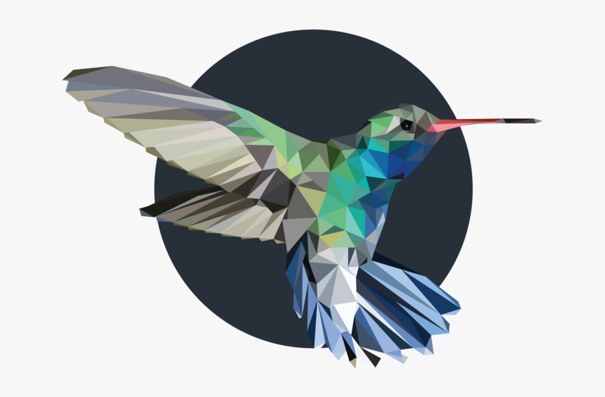Hummingbird, HD Png Download, Free Download