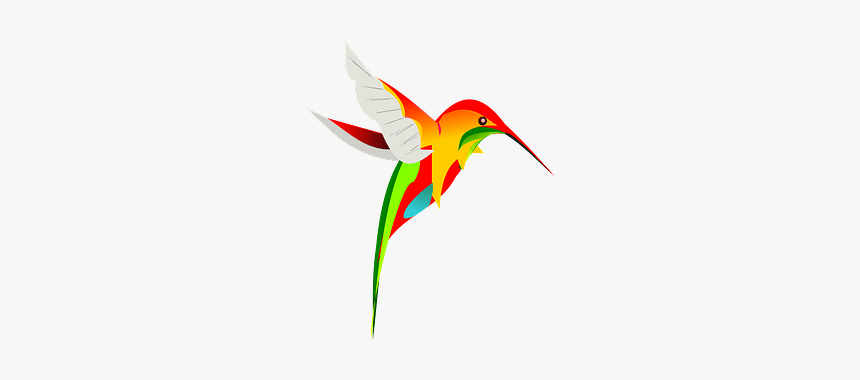 Colourful Hummingbird Clipart - Mother And Baby Birds, HD Png Download, Free Download