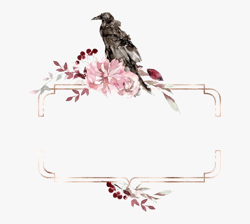 Creative Bird Box Transparent Material Watercolor - American Crow, HD Png Download, Free Download