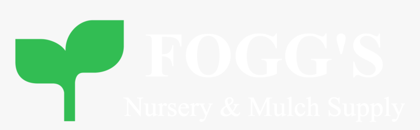 Our Fogg S Nursery - Parallel, HD Png Download, Free Download