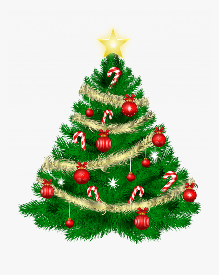 Astonishing Cartoon Pictures Of Christmas Trees Picture - Christmas Tree Png Transparent Background, Png Download, Free Download