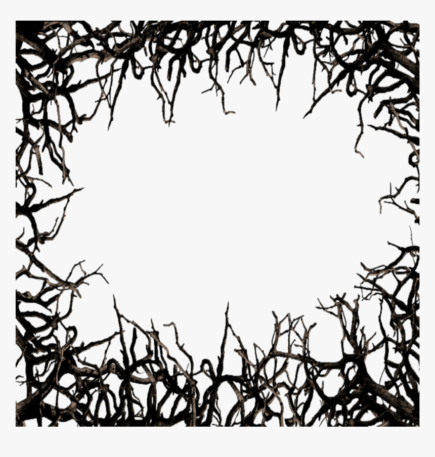#mq #black #twigs #frame #frames #border #borders - Tree Branch Border, HD Png Download, Free Download