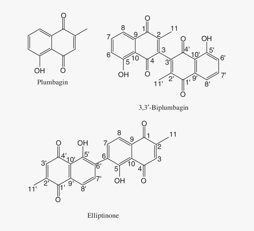 Diagram, HD Png Download, Free Download