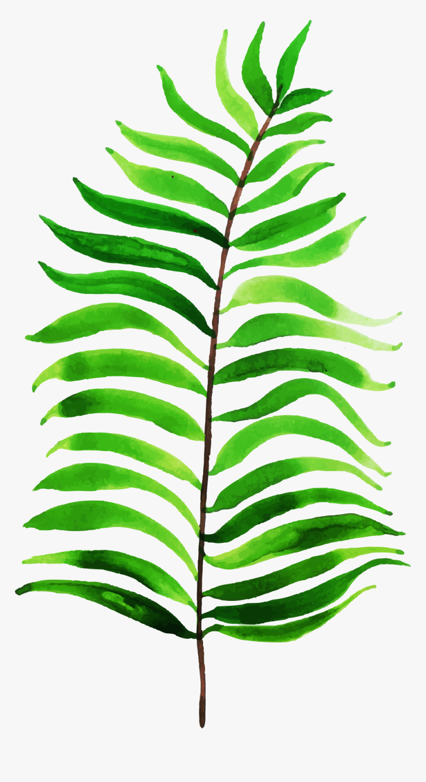 Clip Art, HD Png Download, Free Download