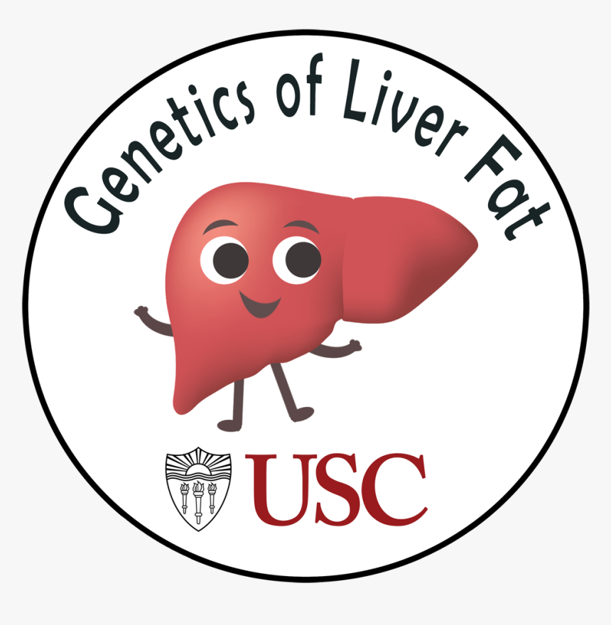 Liver-3026639 9 Circle New 20190620 - University Of Southern California, HD Png Download, Free Download