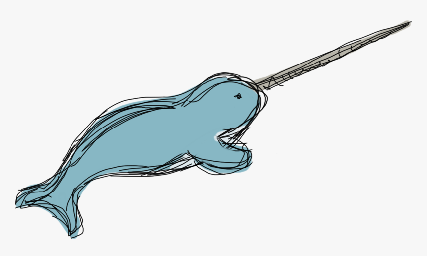 Narwhal , Png Download - Narwhal Clipart Transparent Background, Png Download, Free Download