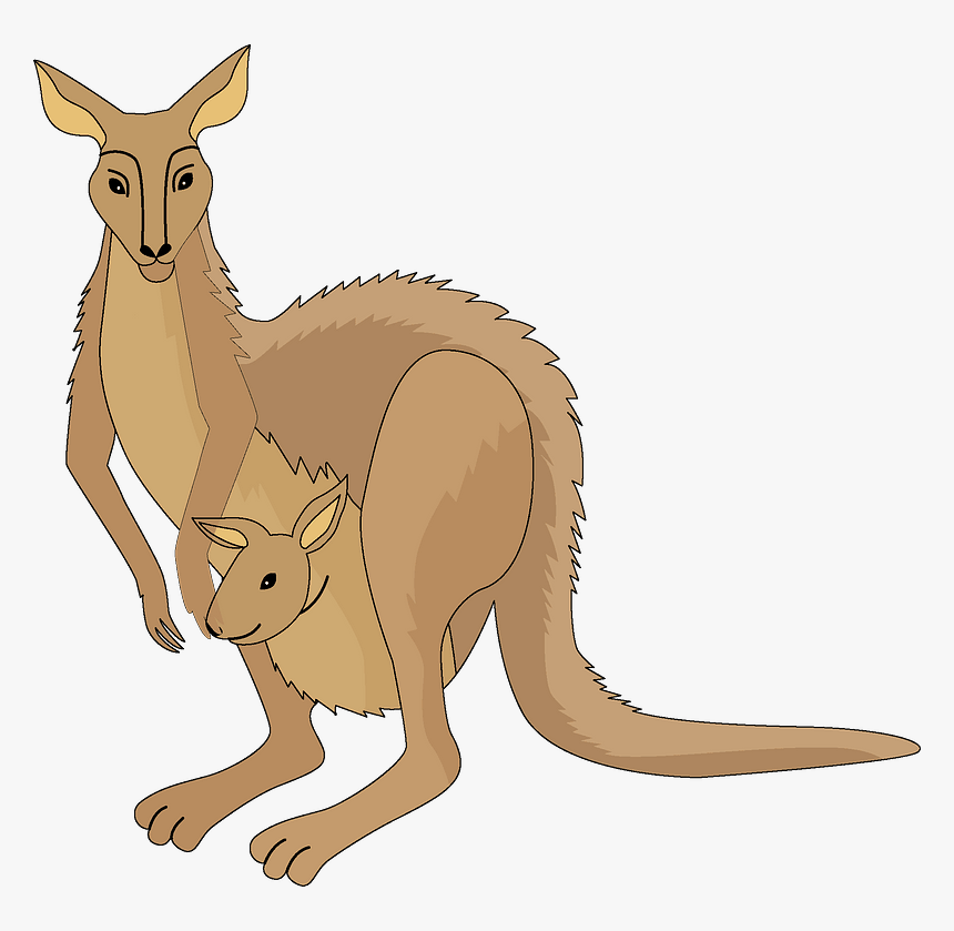 Kangaroo Clipart - Kangaroo, HD Png Download, Free Download