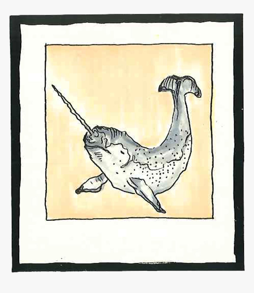 Sketch, HD Png Download, Free Download