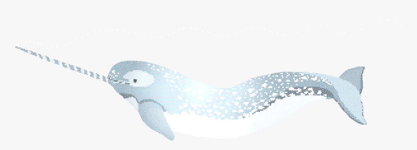 Narwhal Oney - Illustration, HD Png Download, Free Download