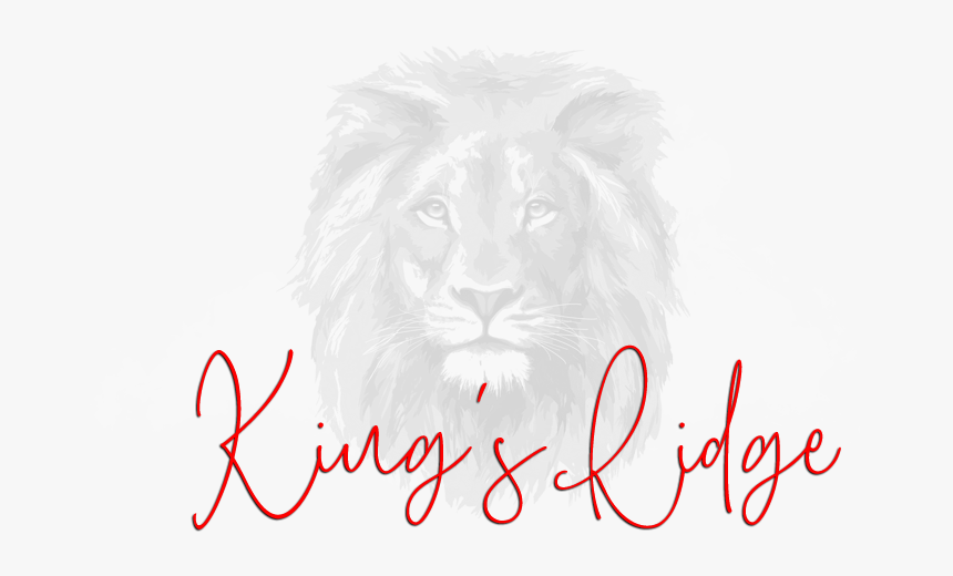 6 Grunge Crown 6 - Masai Lion, HD Png Download, Free Download