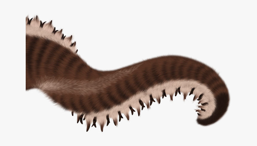 Millipedes, HD Png Download, Free Download