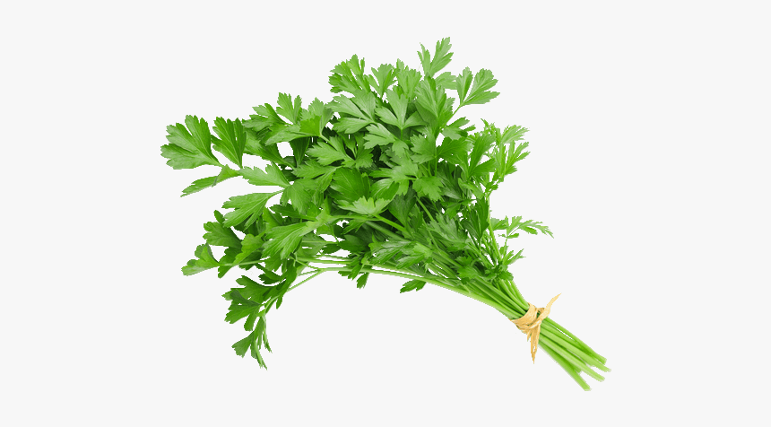 Salsa Un - Bunch Of Parsley, HD Png Download, Free Download