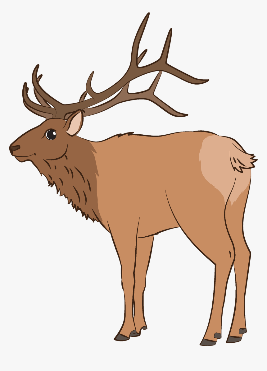 Elk Clipart - Antler, HD Png Download, Free Download