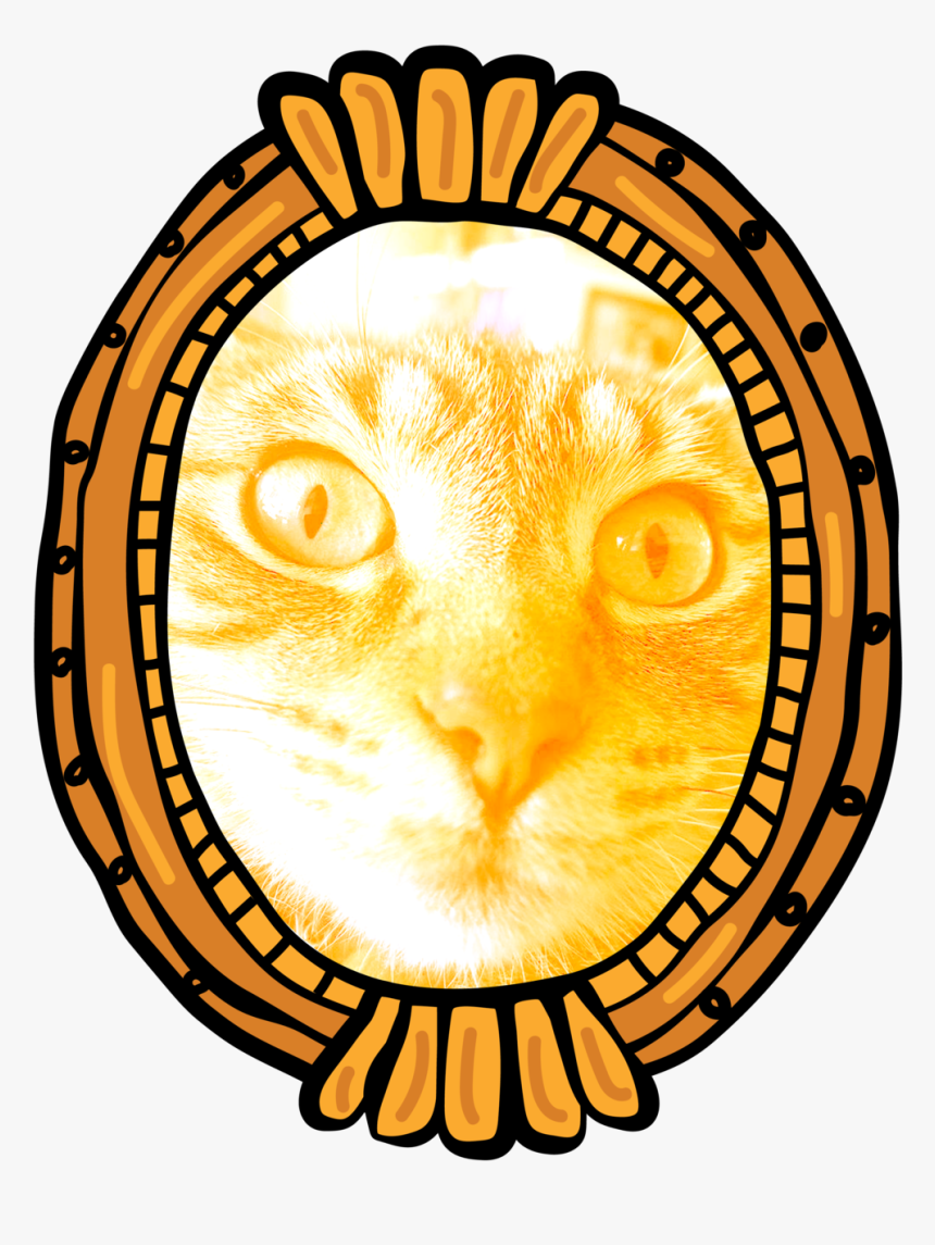 Cat Frames - Circle, HD Png Download, Free Download