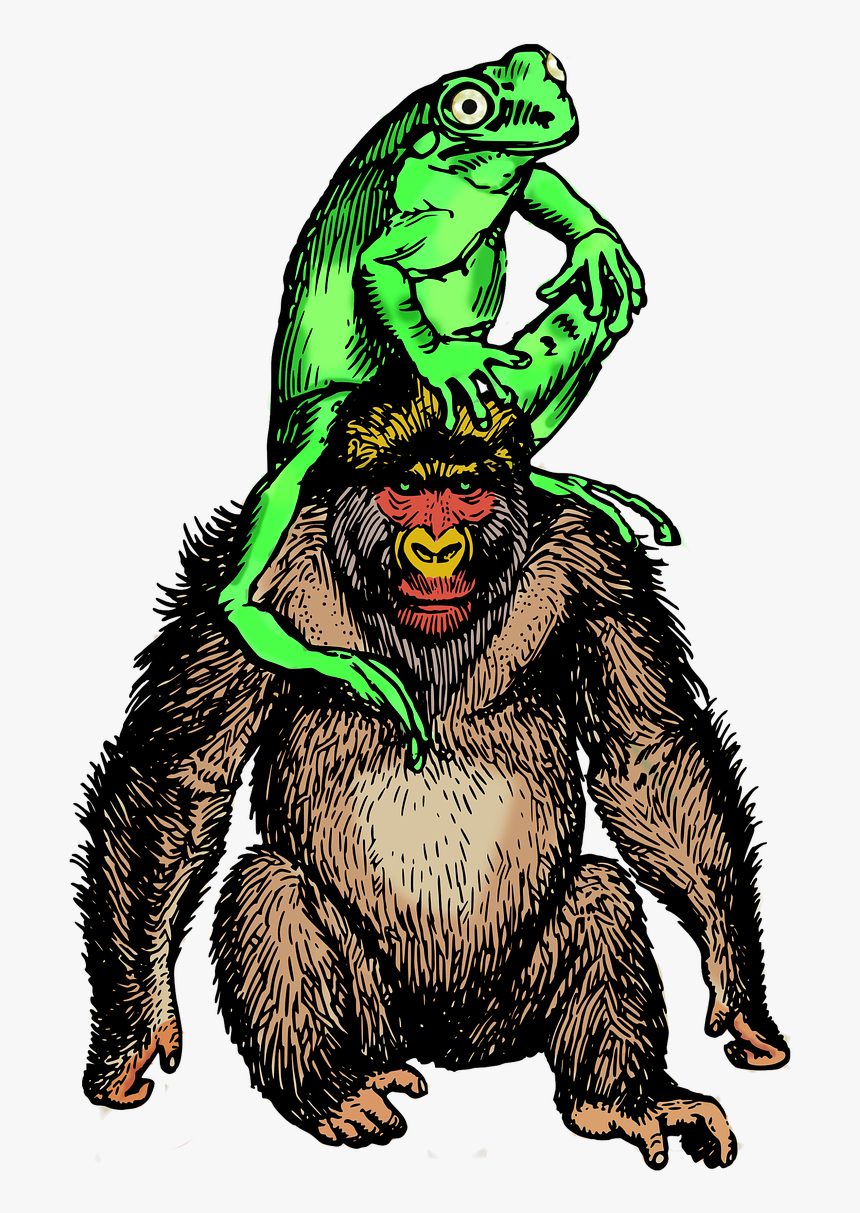 Koko The Gorilla T Shirt, HD Png Download, Free Download
