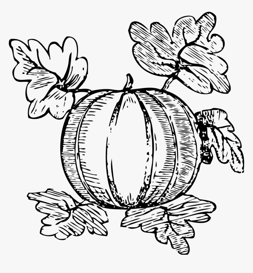 Melon Svg Clip Arts, HD Png Download, Free Download