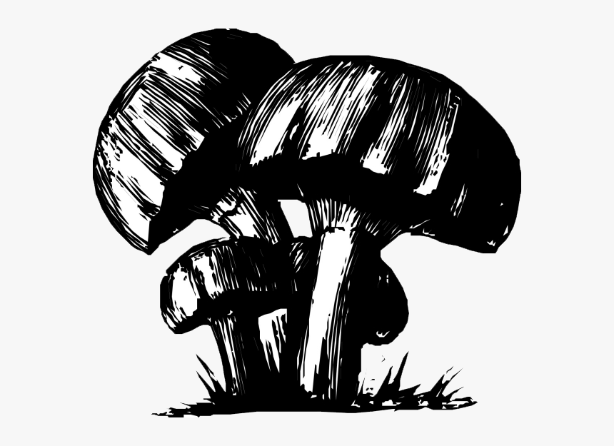 Drawing Trippy Mushroom , Png Download - Mushrooms Drawing, Transparent Png, Free Download