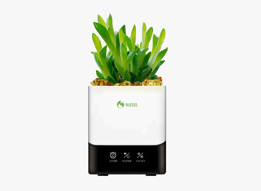 Home Decor Smart Pot With Bluetooth Speaker Music Flower - Plant Alarm Clock, HD Png Download, Free Download