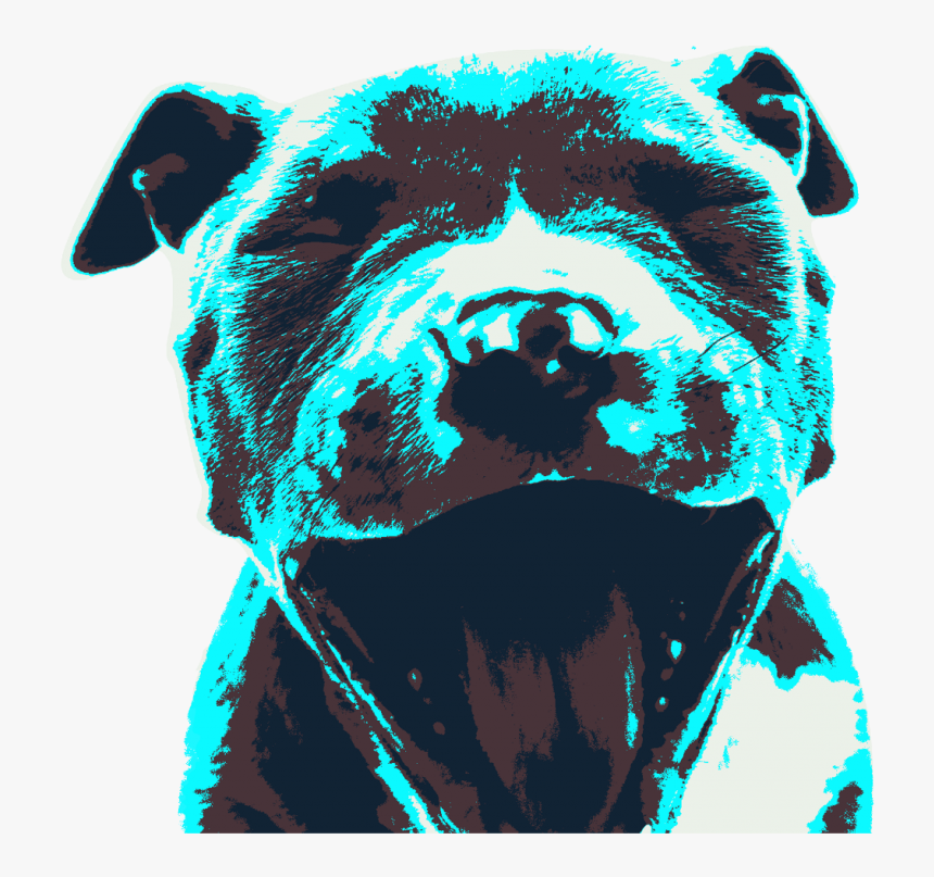 Staffordshire Bull Terrier, HD Png Download, Free Download