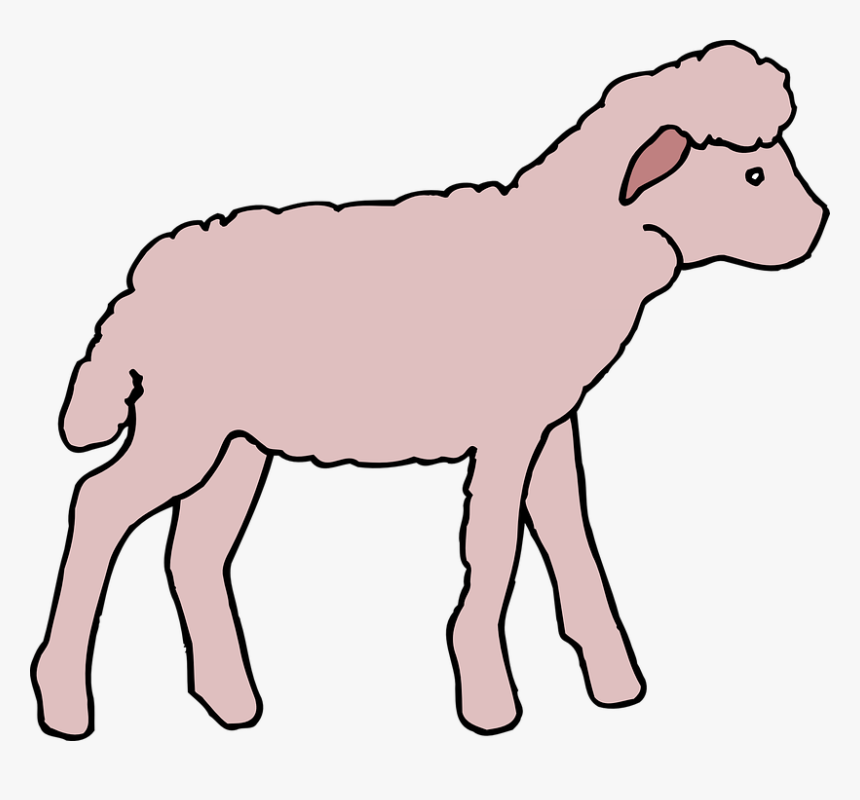 Pink, Lamb, Animal, Fluffy - Pink Lamb Clip Art, HD Png Download, Free Download